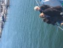 150103c porpoises 022