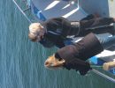 150103c porpoises 030